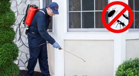 Çilimli Böcek ve Haşere İlaçlama böcek ilaçlama ve haşere kontrolü — ilaclama-tr.com